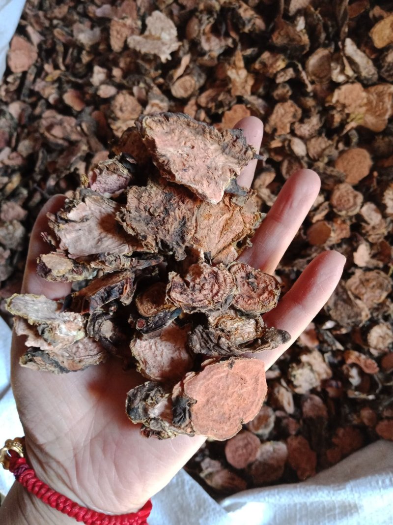 红景天小花西藏大花各种中药材批发零售各种规格