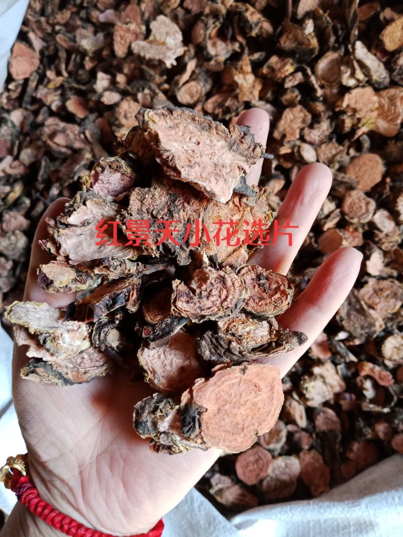 红景天小花西藏大花各种中药材批发零售各种规格