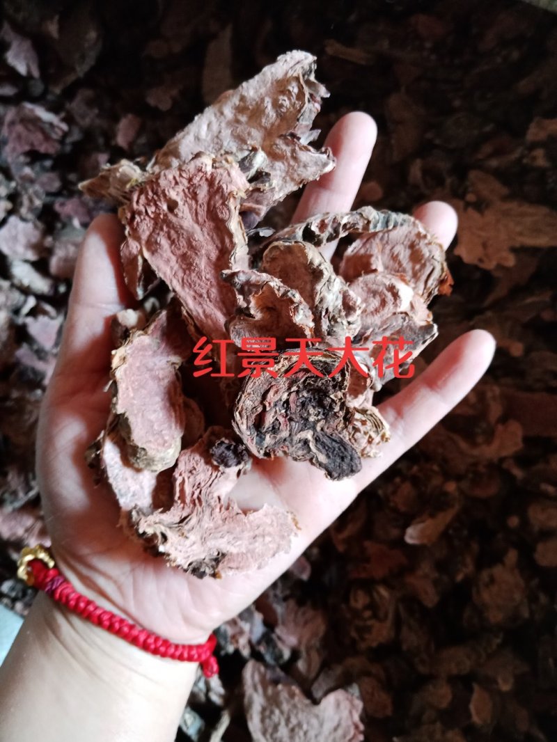 红景天小花西藏大花各种中药材批发零售各种规格