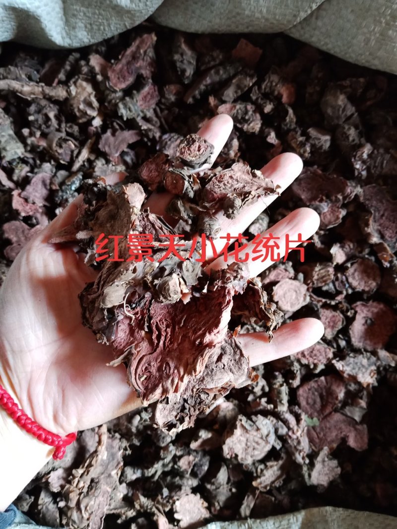 红景天小花西藏大花各种中药材批发零售各种规格