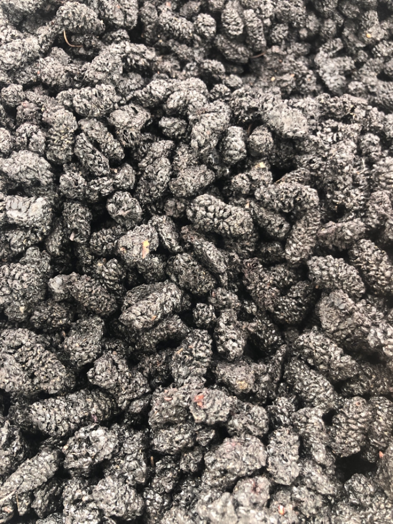 水洗无沙精品桑葚干产地一手货源高糖大颗粒直发全国！