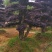 红继木造型桩景基地直销