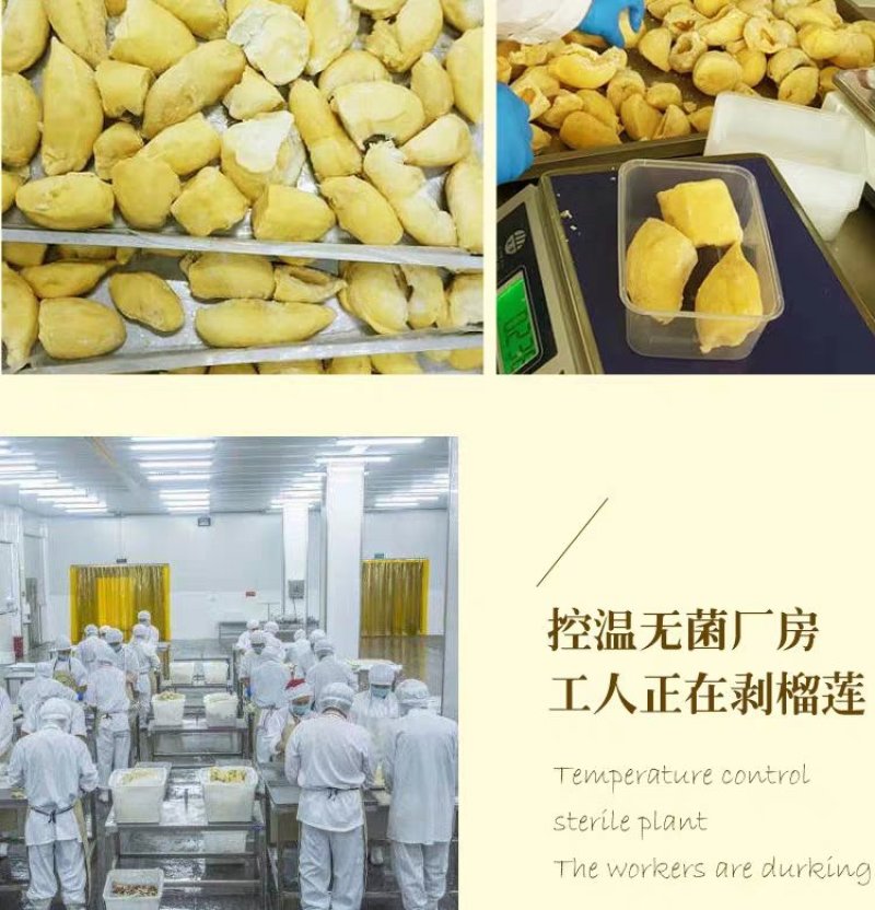 泰国金枕头榴莲肉无核3KG速冻榴莲果肉泥冰榴莲酱烘培冷冻