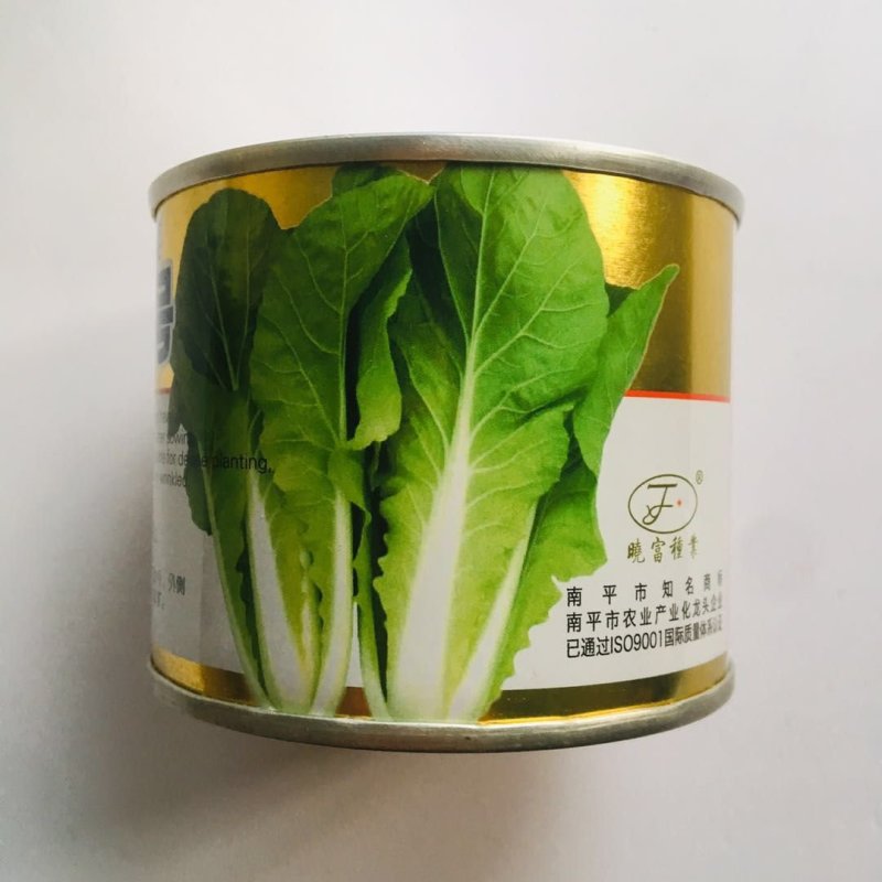 北海道一号快菜种子结球白菜小白菜种籽外叶淡绿耐热耐湿