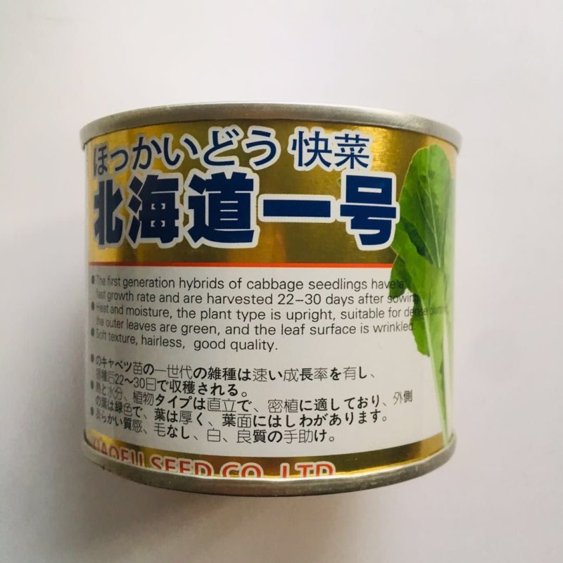 北海道一号快菜种子结球白菜小白菜种籽外叶淡绿耐热耐湿