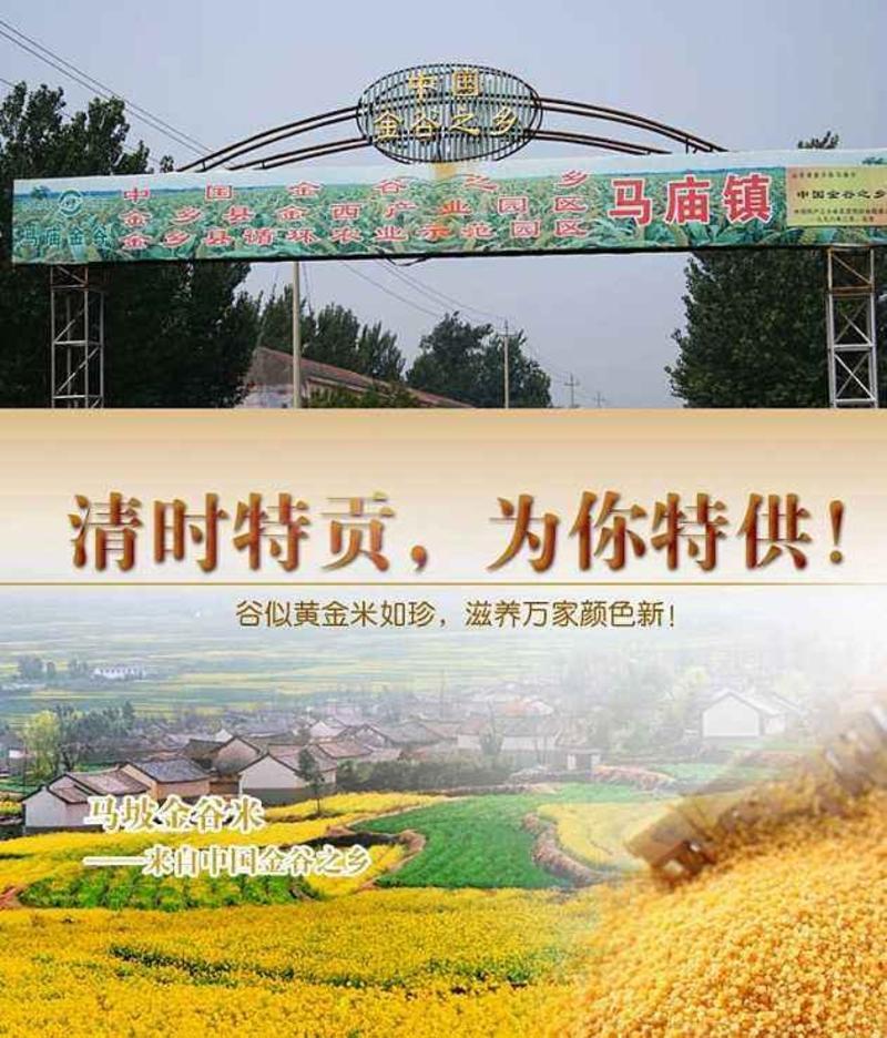 金乡小米，荣获国家农产品地理标识