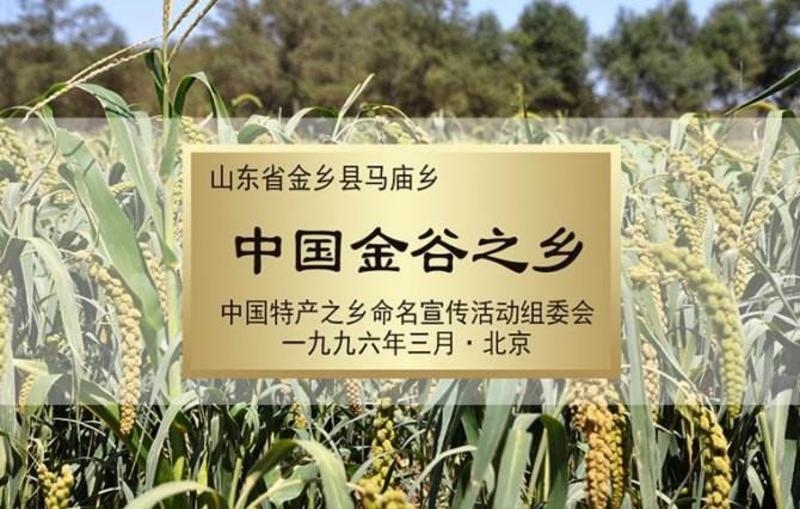 金乡小米，荣获国家农产品地理标识