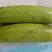 西葫芦种子条型直颜色绿抗病
