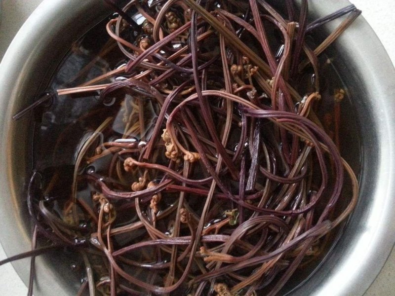 蕨菜干云南高山生态蕨菜干基地直发品质保证全国包邮1