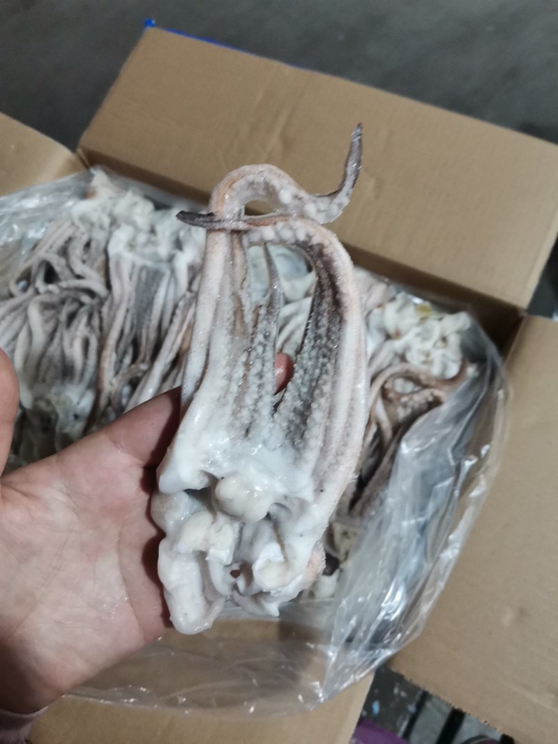 冷冻阿根廷开片鱿鱼头须6斤鱿鱼须新鲜鱿鱼爪铁板烧烤串海鲜