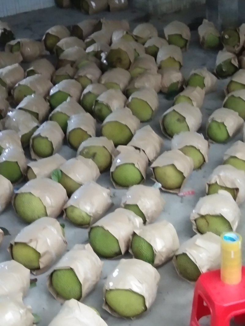 广东精品菠萝蜜产地直供，一手货源保质保量，欢迎来电咨询