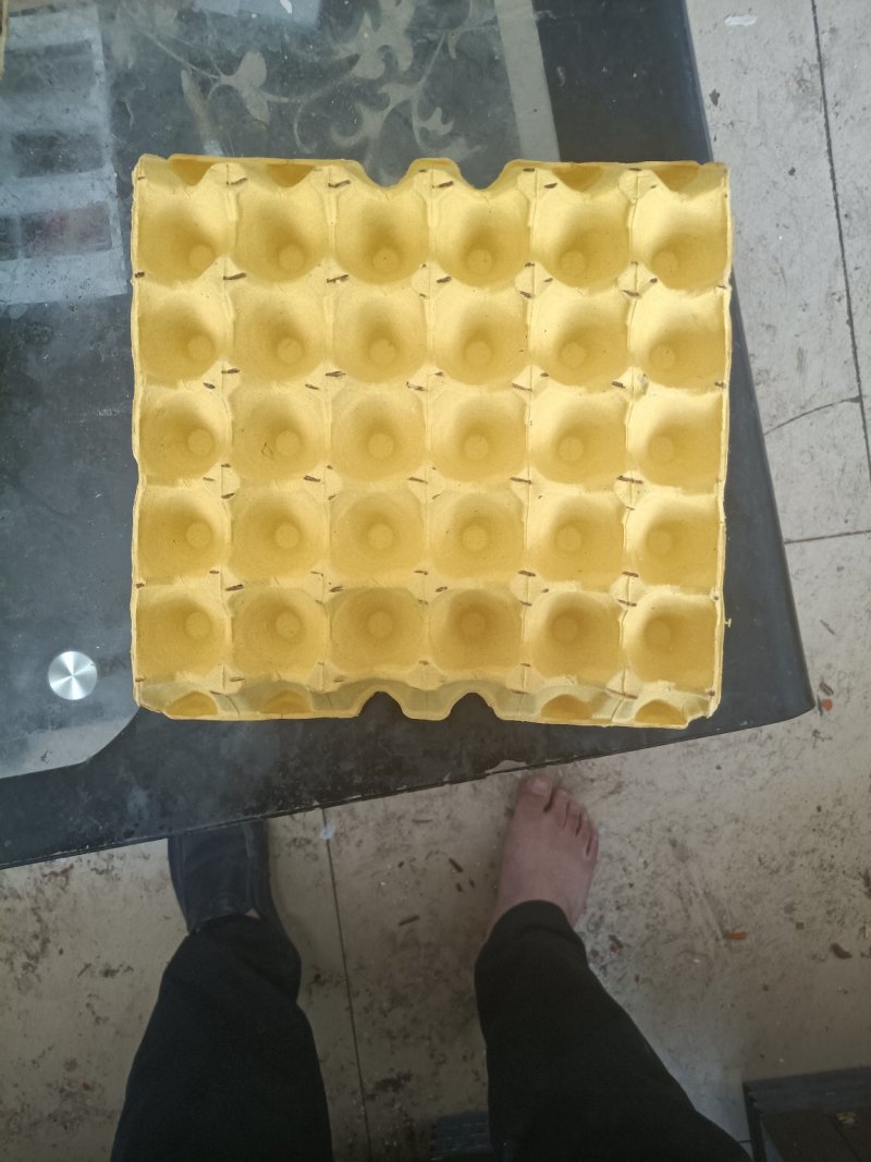 蛋托