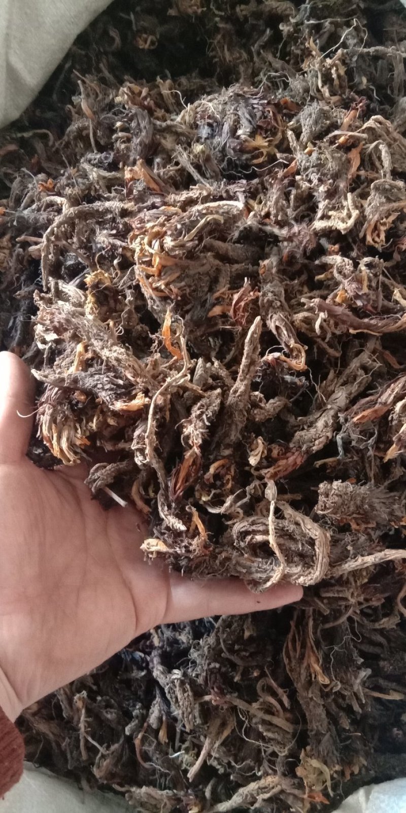 甘松甘松干松香松苷松各种中药材