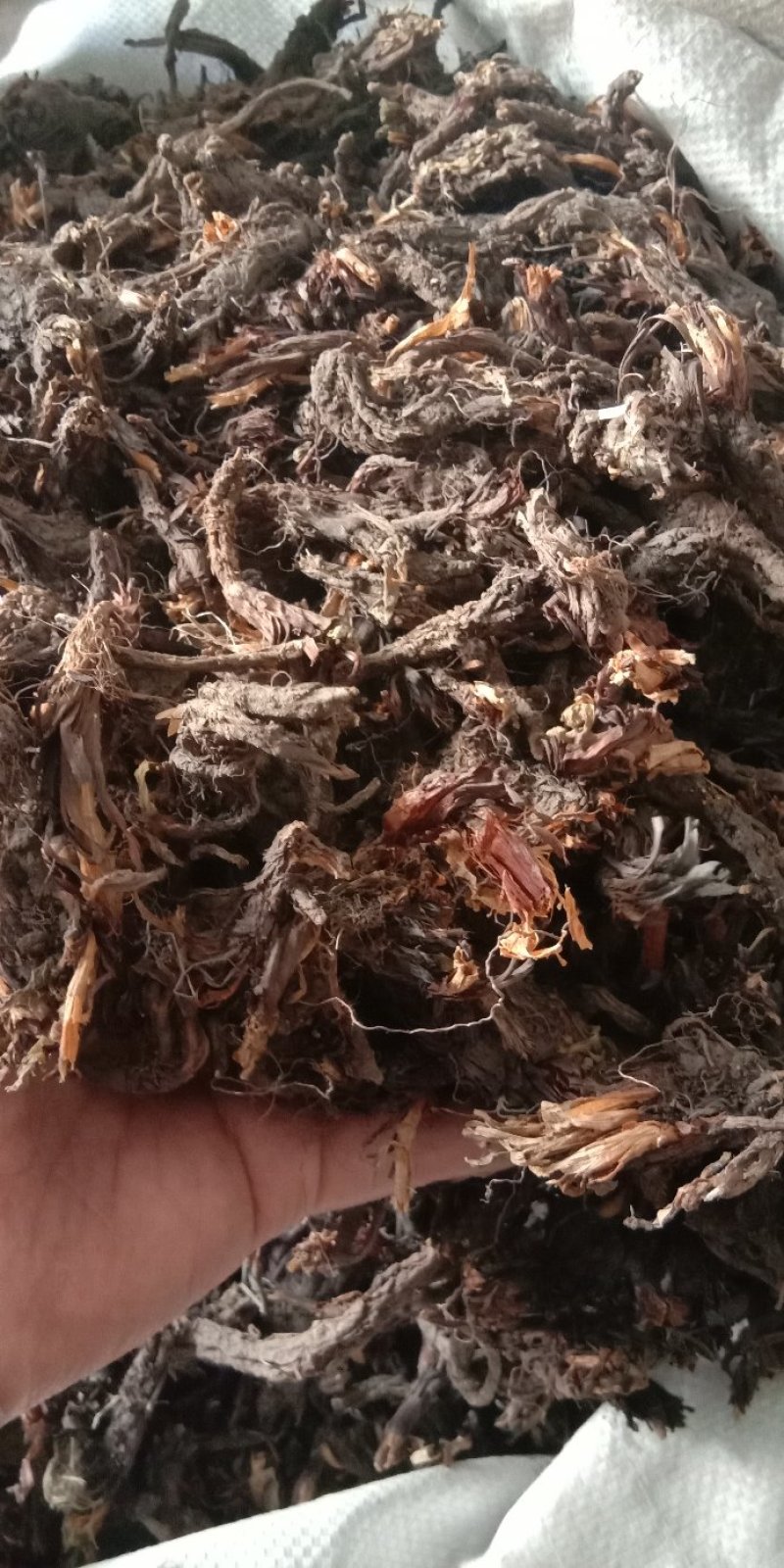 甘松甘松干松香松苷松各种中药材