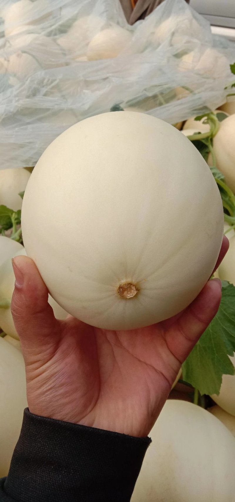 红金蜜甜瓜白皮红肉，产地一手货诚信代收大量现货