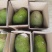 红肉菠萝蜜一件代发电商微商对接24小时发现摘现发