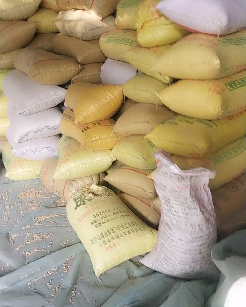 黄豆，陈黄豆粿粒好低价出售抓紧下单手慢无货