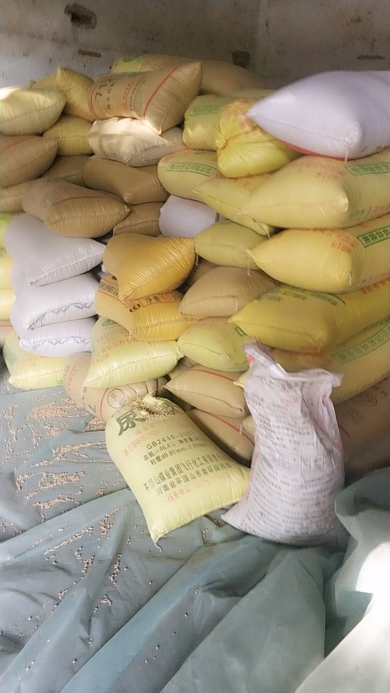 黄豆，陈黄豆粿粒好低价出售抓紧下单手慢无货