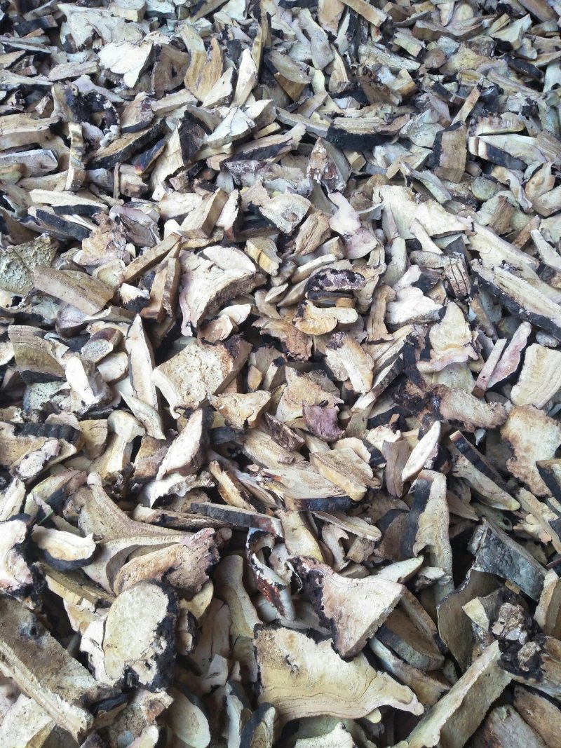 木灵芝，树舌灵芝干片