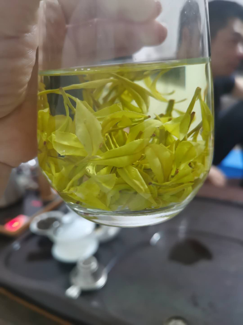 2020年新茶黄金芽黄金叶