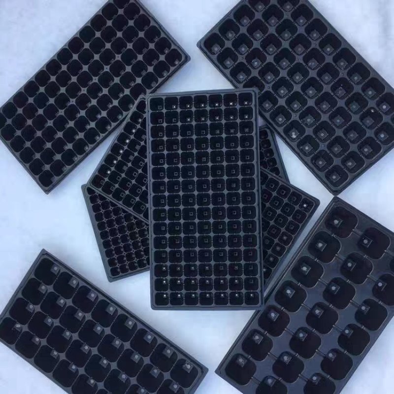 优质加厚多肉牙苗菜培育箱穴盘多肉种植育苗盒育苗盘塑料