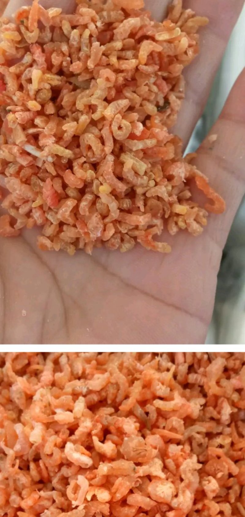 金勾小海米，做汤，包饺子，馄饨神器(大量有货)