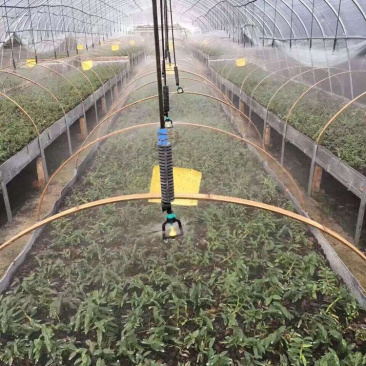 喷头吊挂微喷大棚育苗专用