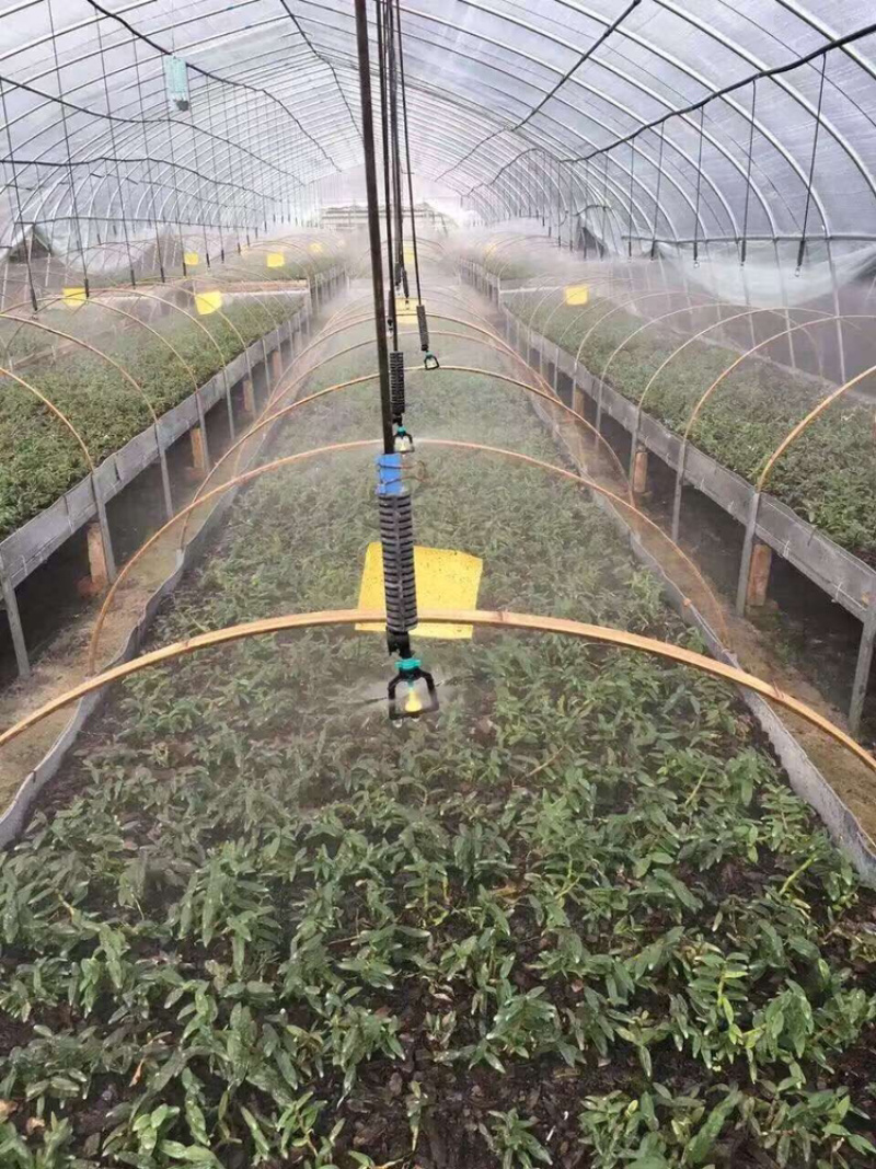 喷头吊挂微喷大棚育苗专用