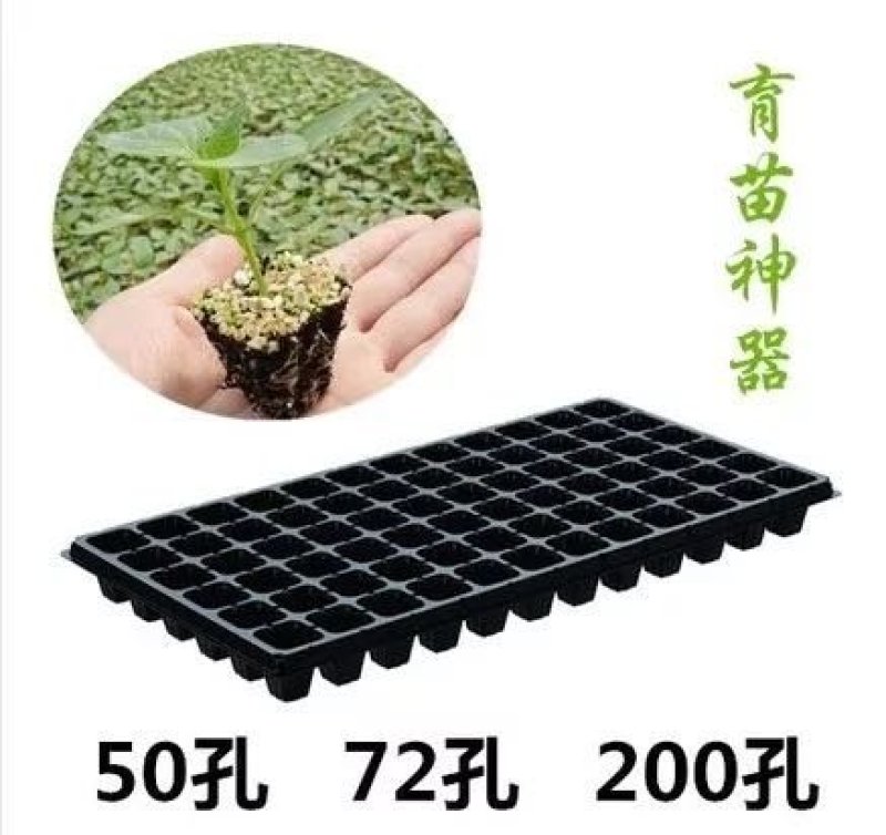 优质加厚多肉牙苗育21-32-50-72-105-128