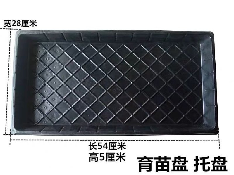 优质加厚多肉牙苗育21-32-50-72-105-128