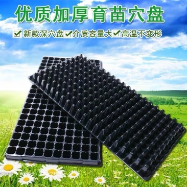 优质加厚多肉牙苗育21-32-50-72-105-128