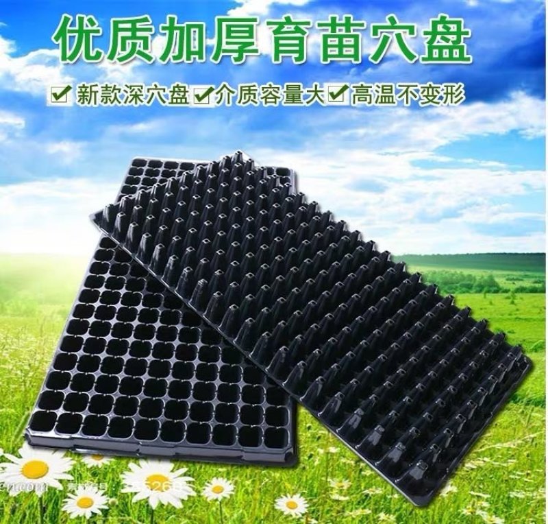 优质加厚多肉牙苗育21-32-50-72-105-128