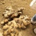出售土窖黄果树二黄姜