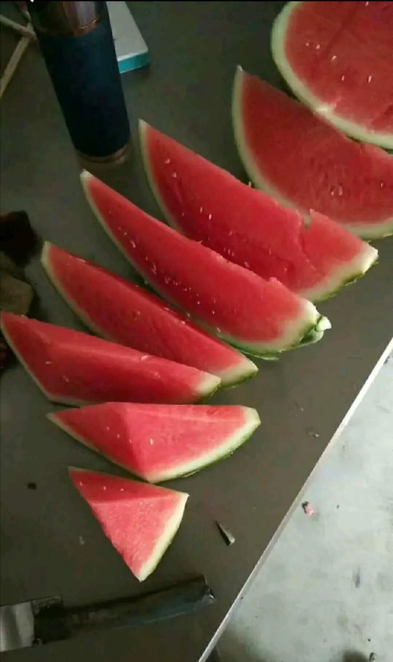 《美都西瓜》麒麟无籽西瓜大量上市现货供应品质好价格低