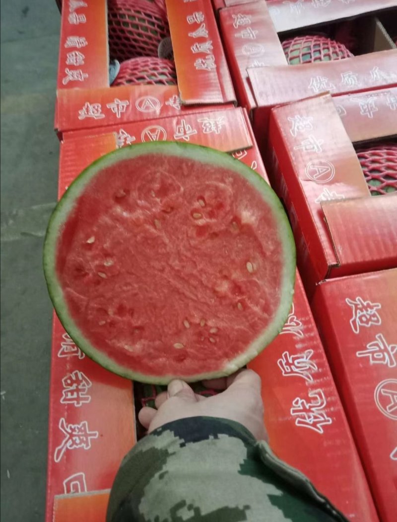 《美都西瓜》麒麟无籽西瓜大量上市现货供应品质好价格低