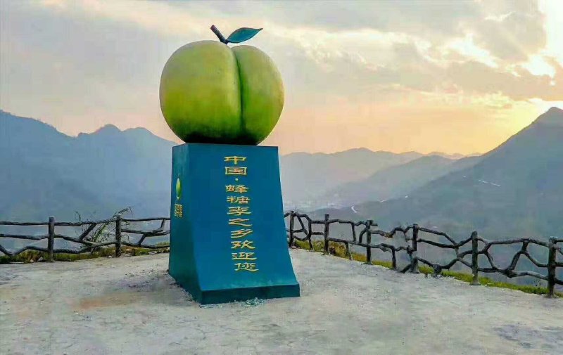 蜂糖李子贵州六马蜂糖李子正宗蜂糖李顺丰包邮接一件代发