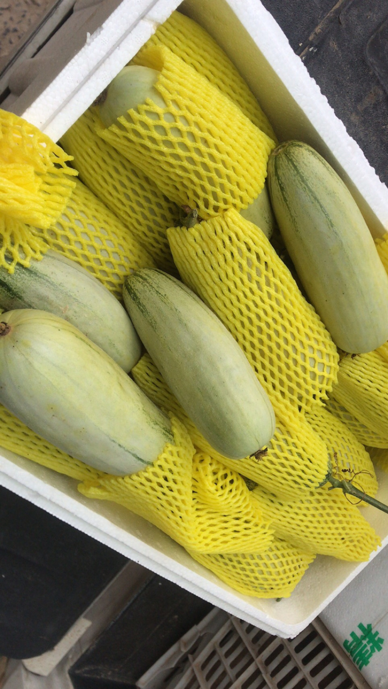 ️精品博洋61大量上市‼️产地直销️品质保证‼️