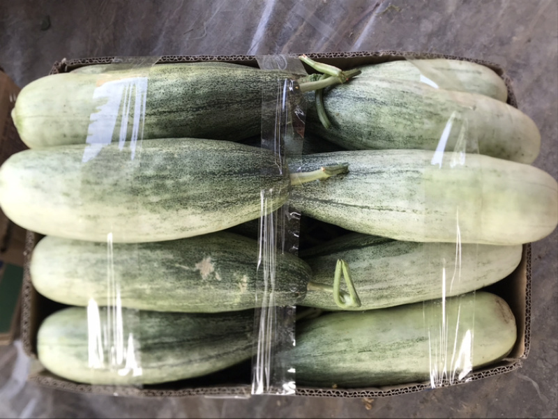 ️精品博洋61大量上市‼️产地直销️品质保证‼️