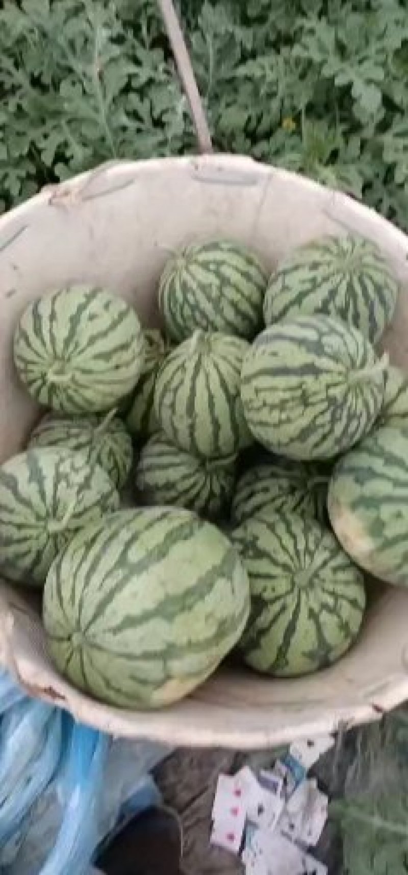 8424做生意，不拼价格，因为拼着拼着，质量就没了。做生