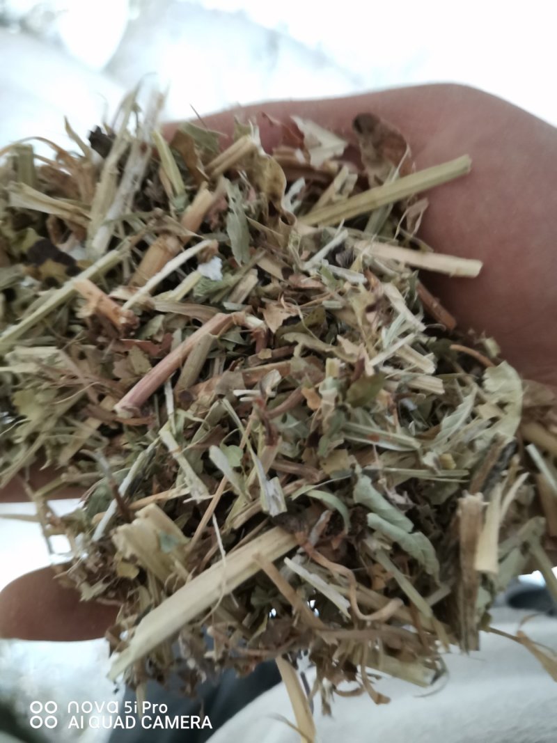3000吨花生秧储备库