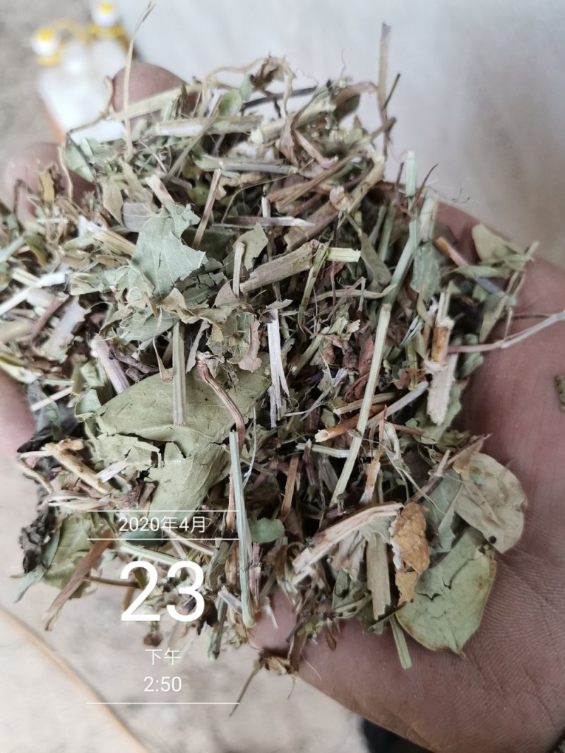 3000吨花生秧储备库