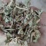 3000吨花生秧储备库