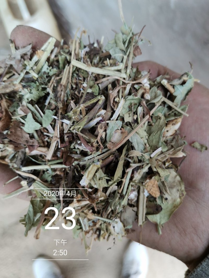 3000吨花生秧储备库