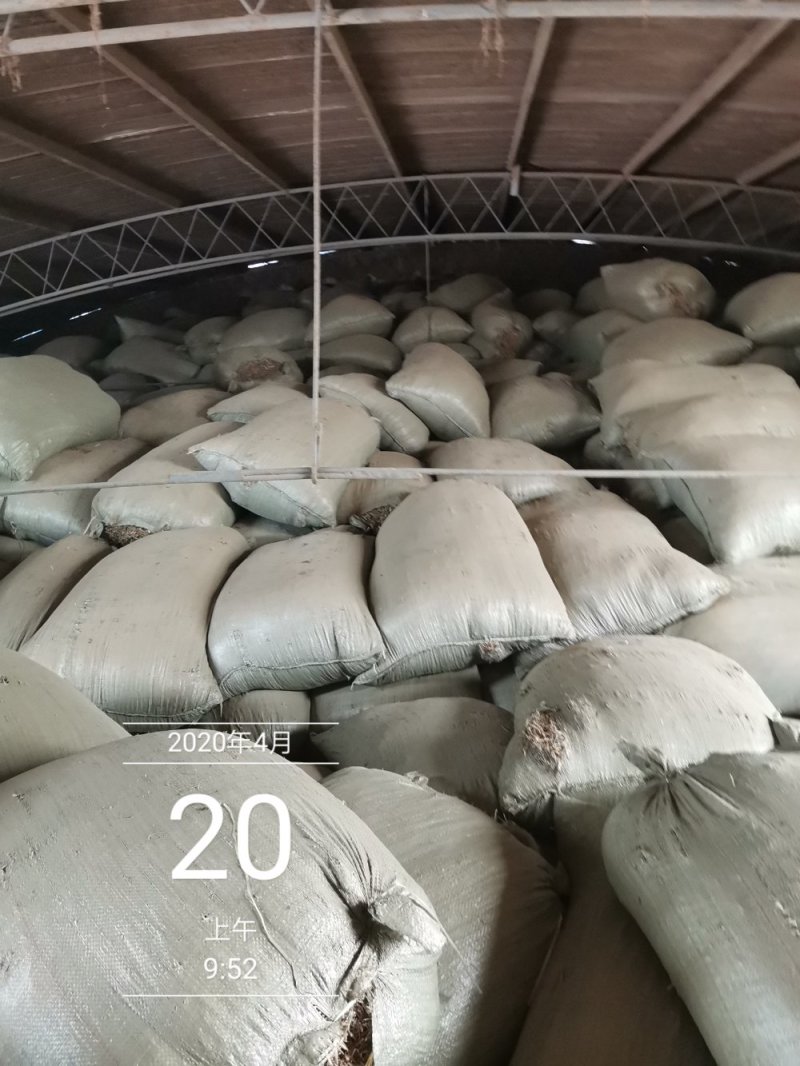 3000吨花生秧储备库