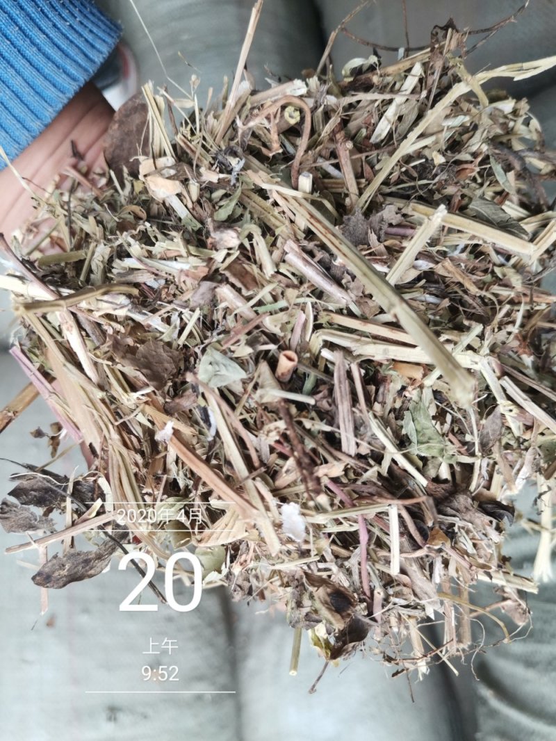3000吨花生秧储备库