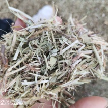 3000吨花生秧储备库