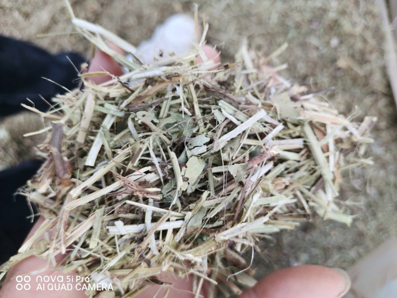 3000吨花生秧储备库