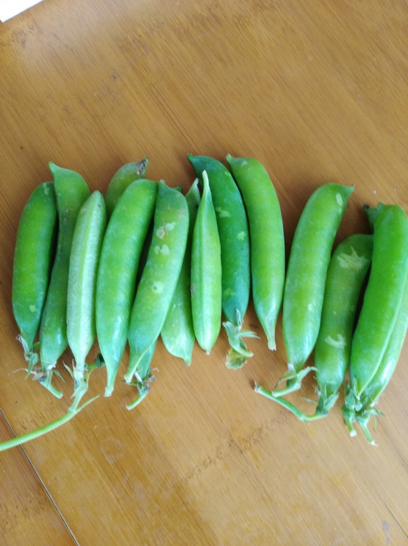 豆
