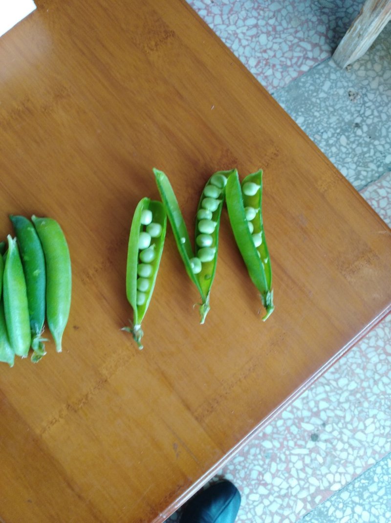 豆
