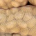 甘肃土豆，陇薯7，10，青薯9